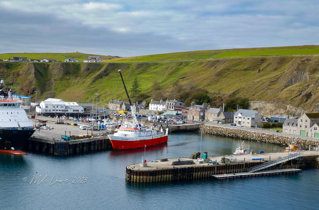 A scenic harbor view featuring boats docked at the pier, surrounded by green hills and a small coastal town.