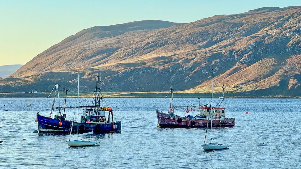 Fishing boats anchored in calm waters with a mountainous backdrop.