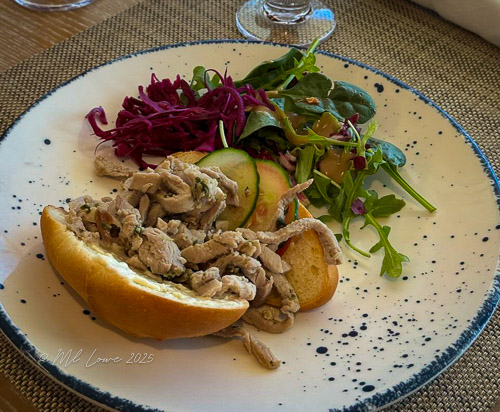 A plate featuring shredded chicken on a bun accompanied by a side of mixed salad including arugula, cucumber, and red cabbage.