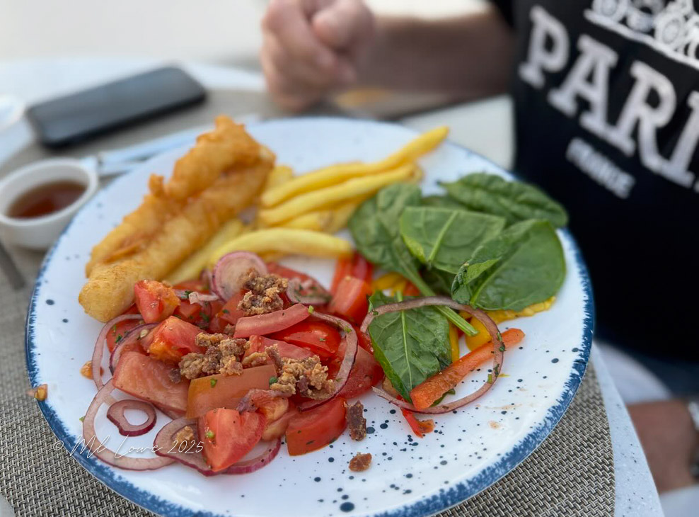 A plate of fish and chips accompanied by a mixed salad featuring tomatoes, onions, and spinach, with a side of fries and dipping sauce, set against a blurred background.