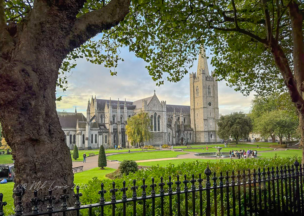 View of St. Patrick's Cathedral in Dublin, Ireland, framed by trees, showcasing its architectural details and surrounding park.