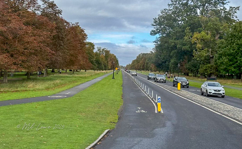A view of a tree-lined road with traffic on the right and a bike lane on the left, set in a park-like setting.