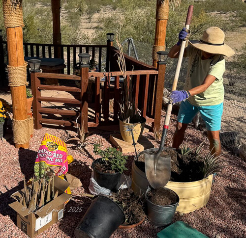 A person wearing a straw hat and gloves is gardening, using a shovel to work with potted plants and soil near a wooden deck in a desert landscape.