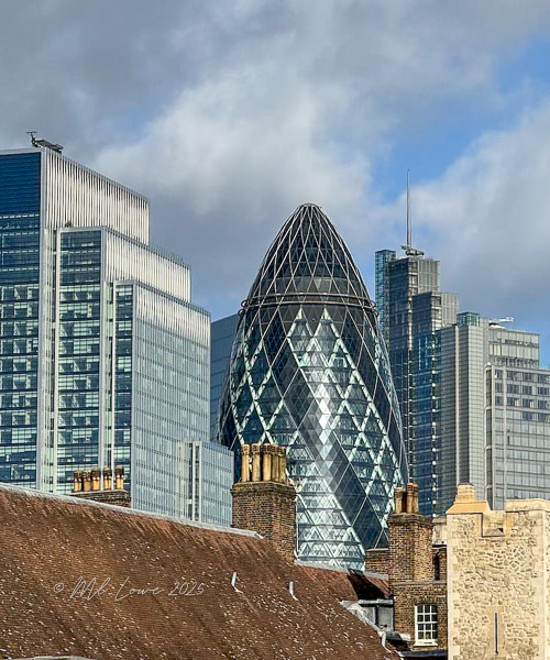 A view of London's skyline featuring the distinctive shape of the Gherkin building among modern skyscrapers, with traditional rooftops in the foreground and a partly cloudy sky.