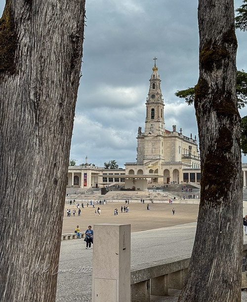 View of the Sanctuary of Our Lady of Fátima framed by two trees, with a large crowd gathered in the plaza and a cloudy sky overhead.