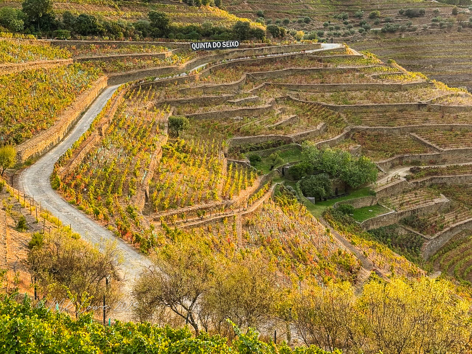 Discoveries in Portugal