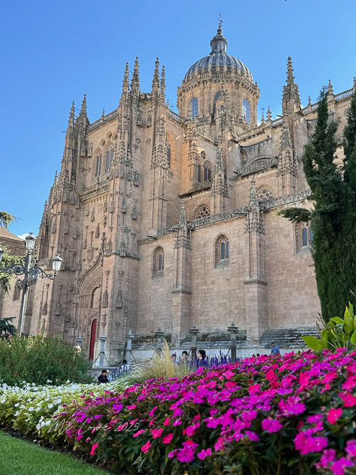 Historic cathedral building with intricate architecture, surrounded by colorful flowers and blue sky.