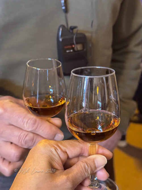 Two hands holding glasses of port wine in a tasting setting.