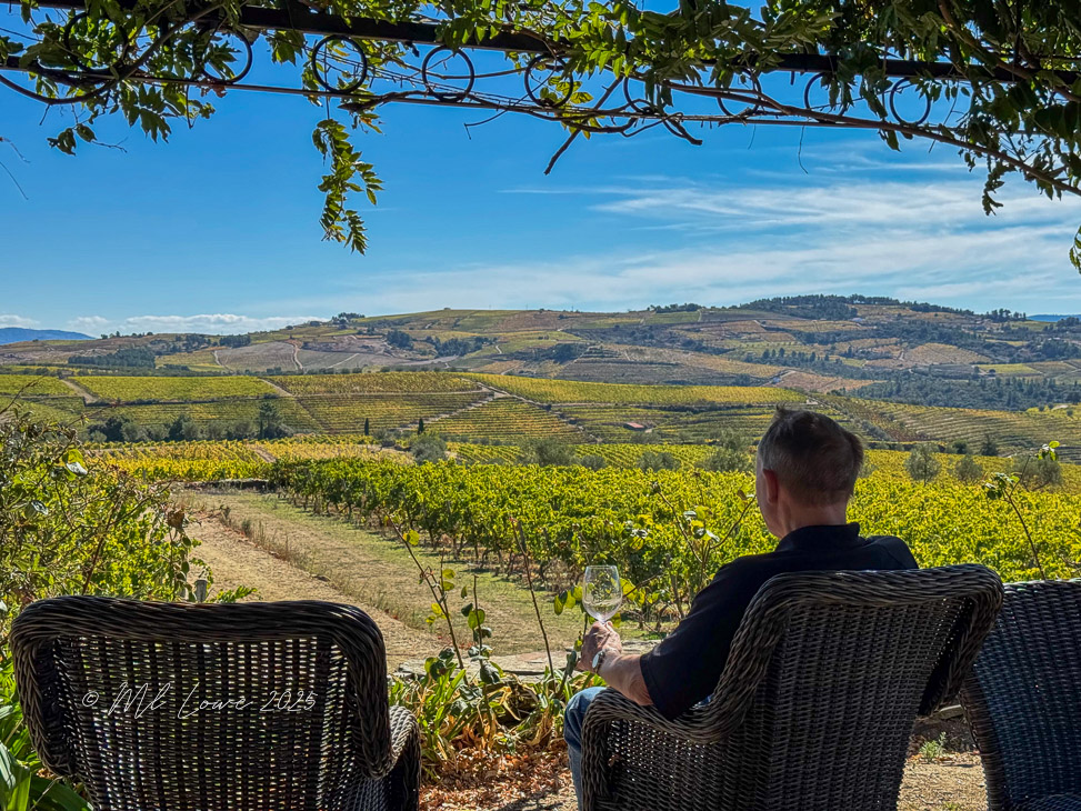 A person sitting in a chair overlooking a scenic vineyard landscape with rolling hills and terraced grape vines under a clear blue sky.