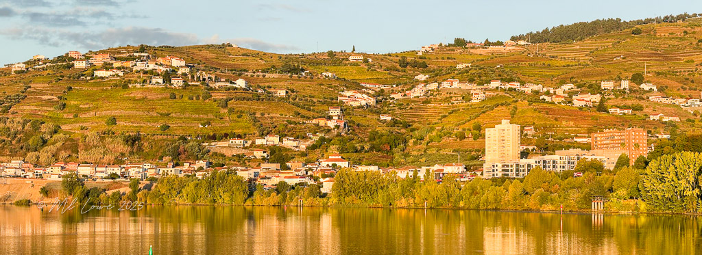 Scenic view of terraced vineyards and houses along the Douro River in Portugal during sunset, with reflections on the water.