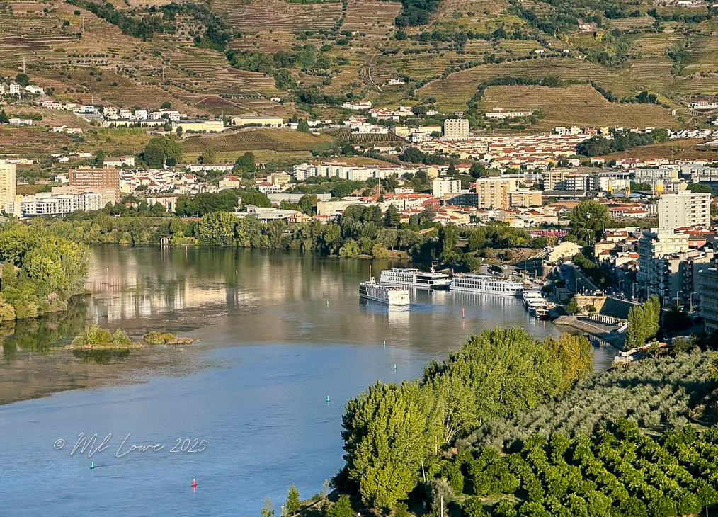 A scenic view of the Douro River with terraced vineyards in the background, showcasing colorful boats docked along the riverbank and buildings lining the shore.