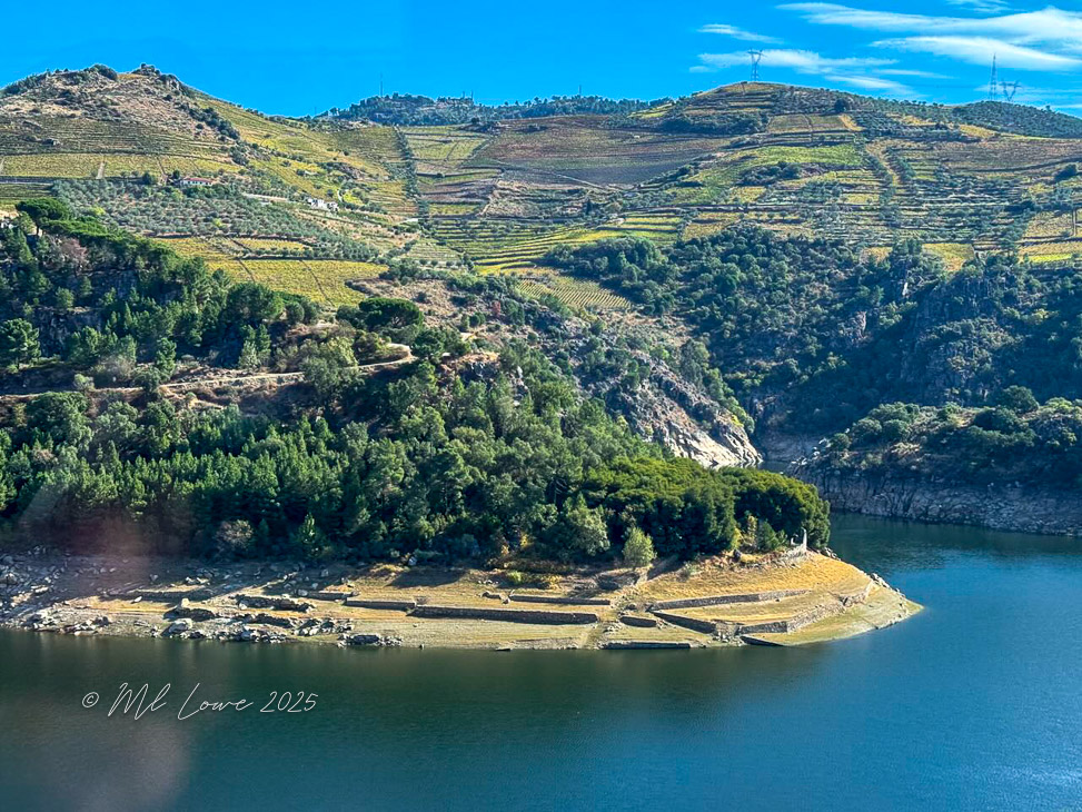 Scenic view of terraced vineyards and olive trees along the Douro River, showcasing the mountainous landscape and lush greenery in Portugal.