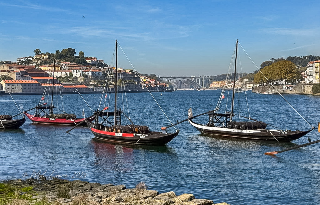 View of traditional rabelo boats on the Douro River with a picturesque hillside town in the background during daylight.