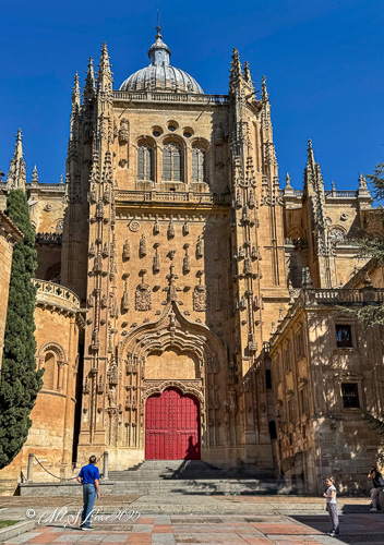Exterior view of the Cathedral of Salamanca in Spain, showcasing detailed stone carvings and a prominent red door under clear blue skies.