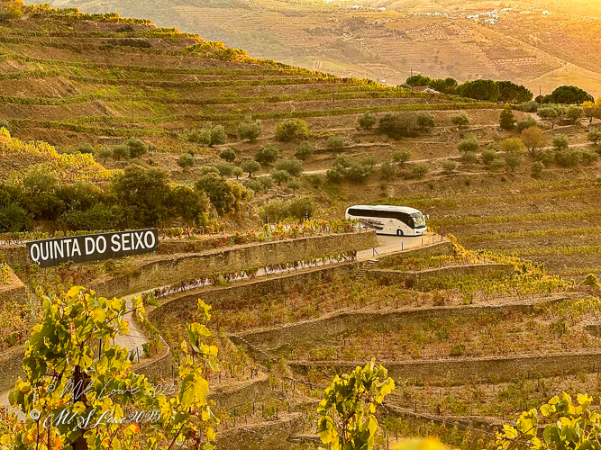 A scenic view of the terraced vineyards at Quinta do Seixo, with a tour bus parked along the pathway.