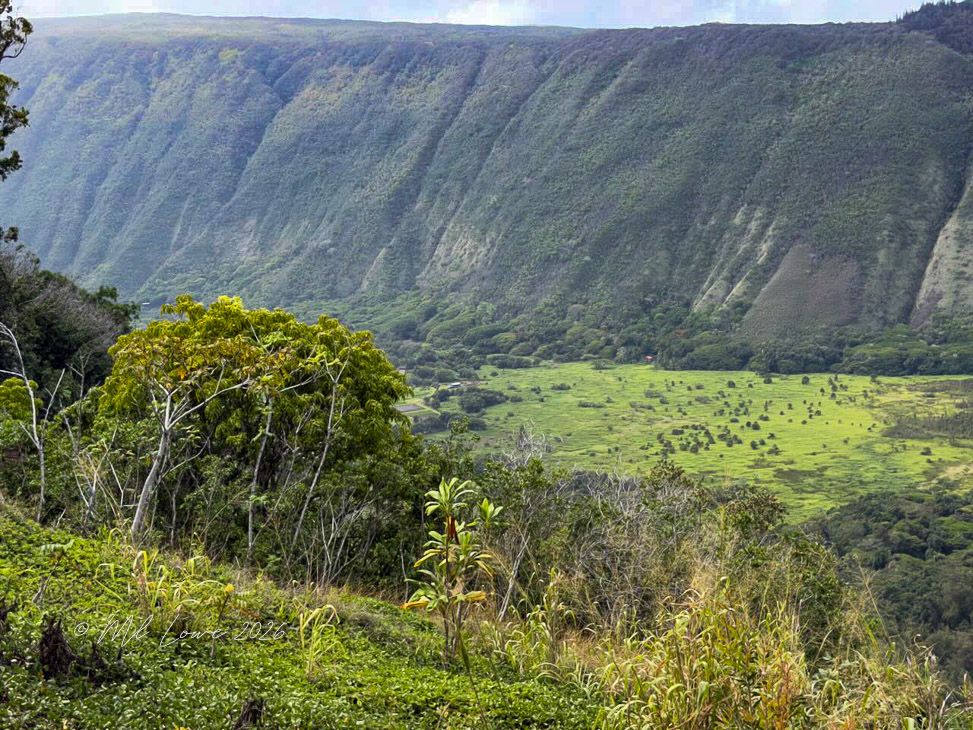 The Waipiʻo Valley 