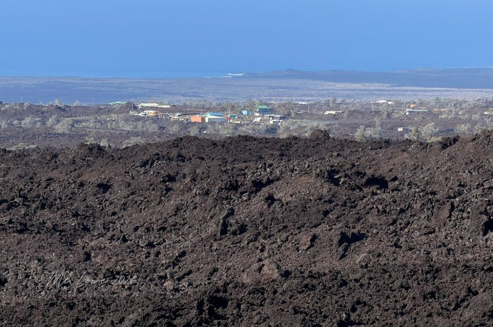 Captain Cook - Kahuku