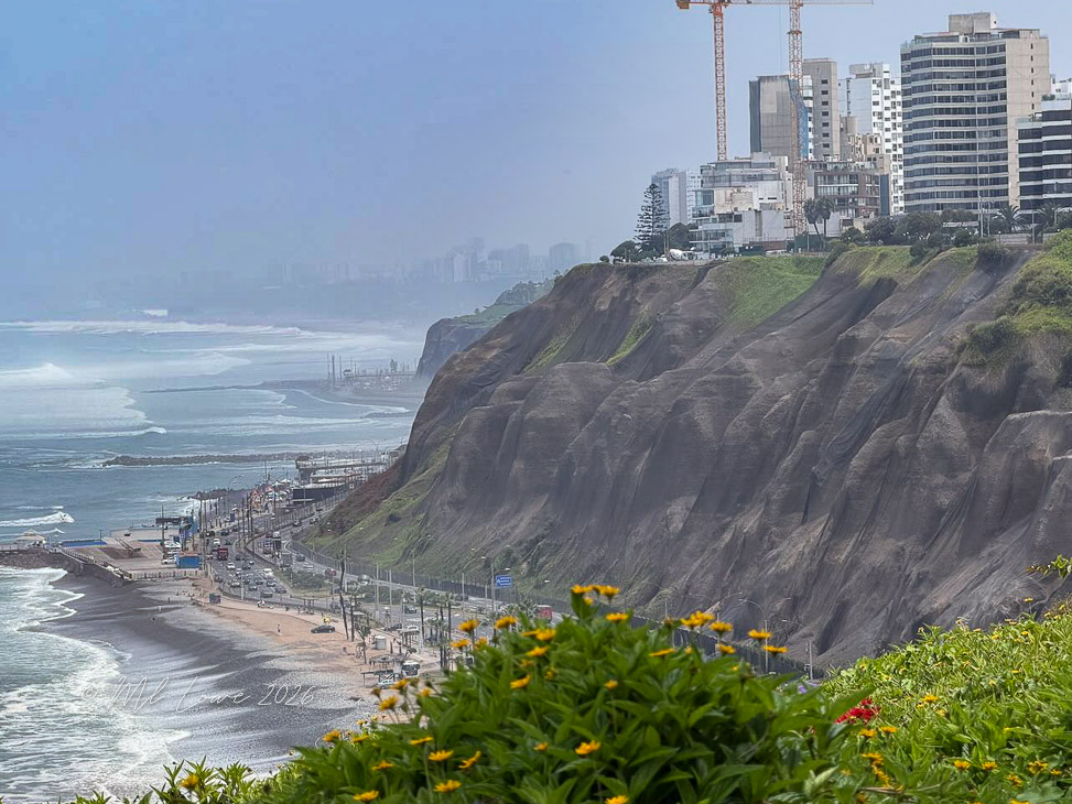 A coastal view featuring cliffs with greenery and flowers in the foreground, overlooking a beach and city skyline in the background, with ocean waves crashing along the shoreline.