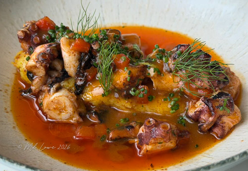A bowl of octopus served with a rich, spicy tomato sauce and garnished with fresh herbs and vegetables.
