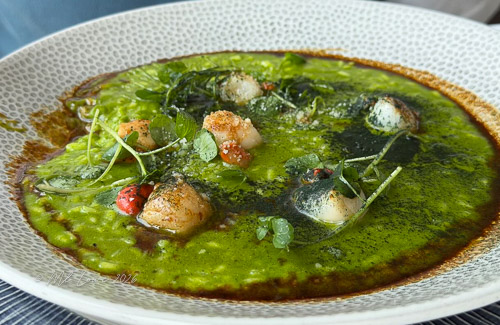 A bowl of vibrant green soup garnished with herbs and diced vegetables, featuring scallops and a drizzle of dark sauce.