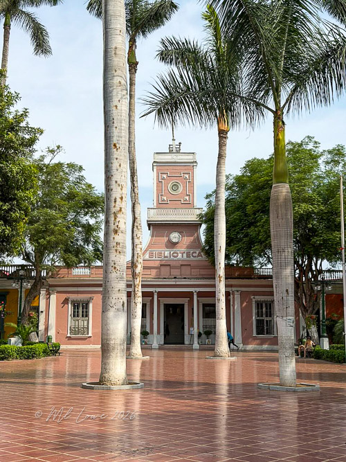 View of a pink library building with a clock tower, surrounded by tall palm trees and a tiled plaza.