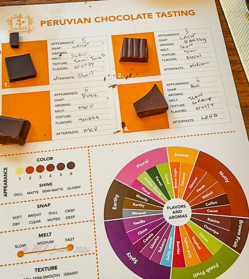 A Peruvian chocolate tasting sheet featuring four samples of chocolate squares, with notes on appearance, snap, melt, texture, flavors, and aftertaste. Includes a color guide and a flavor wheel highlighting various flavors and aromas.