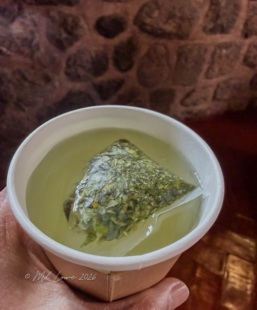 coca tea