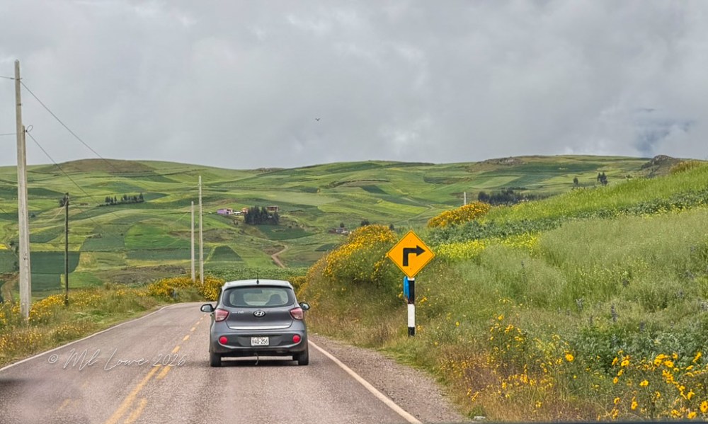 A car driving on a rural road surrounded by green hills and wildflowers, with a right-turn road sign visible ahead.