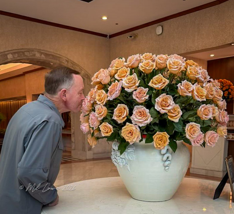 A man is leaning in to smell a large arrangement of peach and pink roses in a decorative white vase, situated on a marble countertop in a well-lit interior.