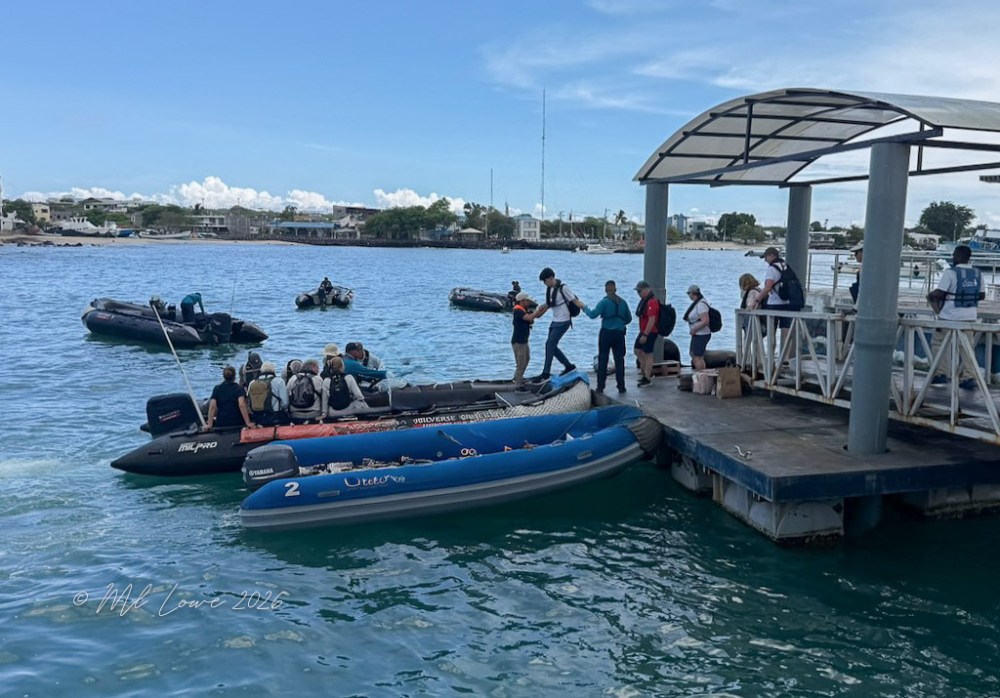 A group of people unloading from small boats at a dock on a sunny day, with a calm sea in the background.