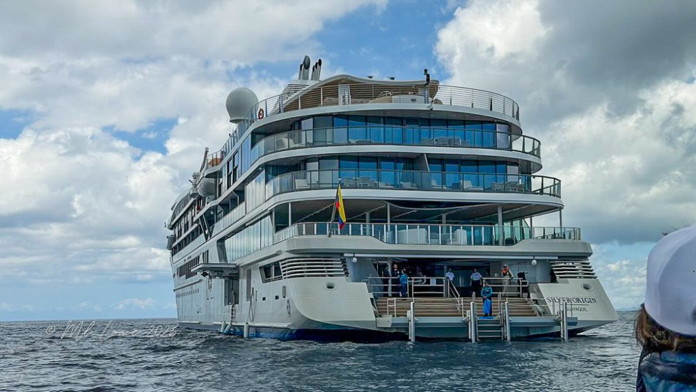 A luxury cruise ship anchored in a calm sea with a cloudy sky, showcasing multiple decks and glass windows.