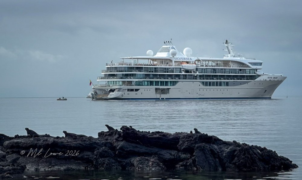 A large cruise ship named Silver Sea anchored near rocky shoreline with a small boat nearby, under a cloudy sky.