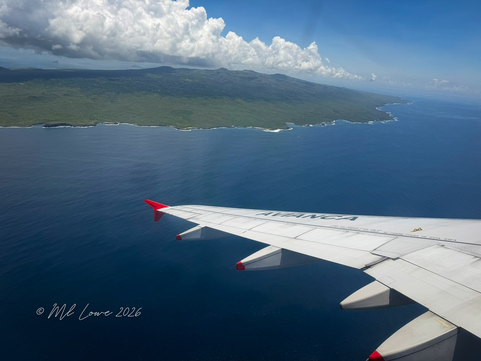 Aerial view of a coastline with lush green hills and a clear blue ocean seen from an airplane window, featuring an airplane wing in the foreground.