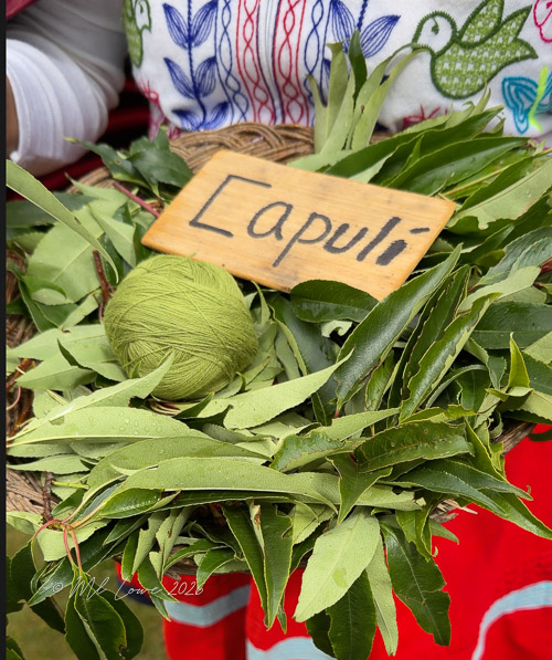 A woven basket filled with green leaves and a green ball of yarn, with a wooden sign labeled 'Capulí' resting on top.