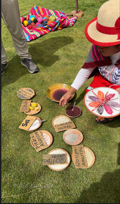 A woman in traditional clothing is preparing natural dyes using various ingredients laid out on circular plates. She holds a plate with colorful powder dyes while a bowl of liquid dye is nearby. Colorful yarn balls can be seen in the background on a vibrant textile.