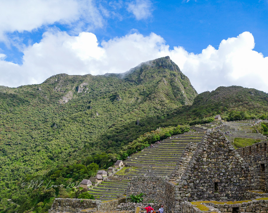 A scenic view of Machu Picchu with lush greenery, terraced agricultural fields, and a mountainous backdrop under a partly cloudy sky.