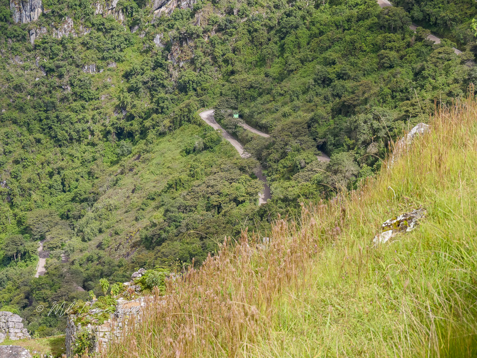 A winding road through lush green hills and dense forest under sunlight.