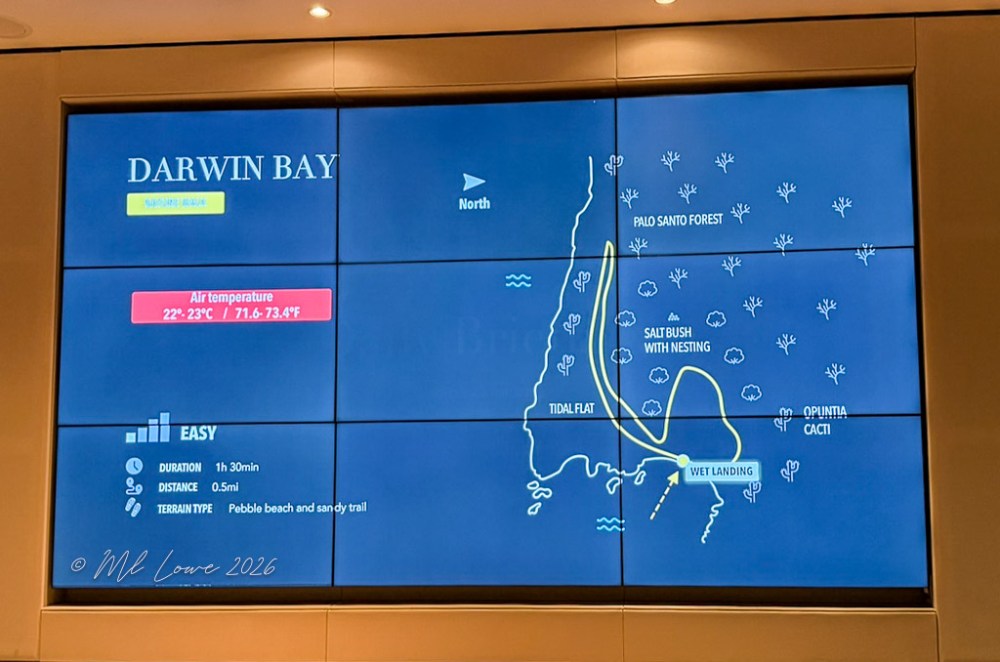 Darwin Bay