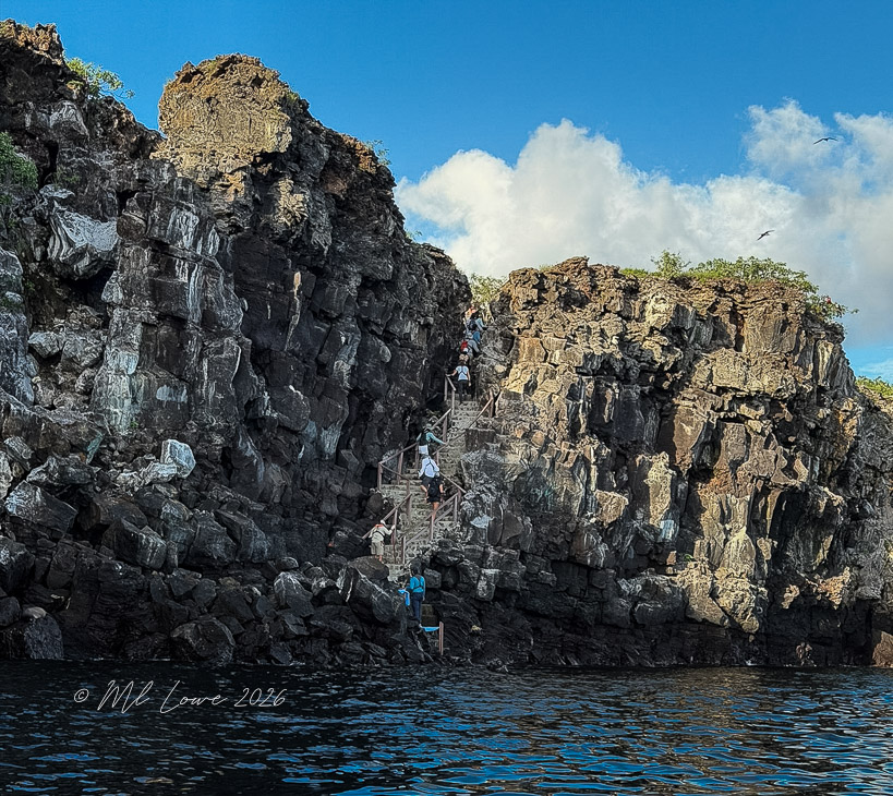 Genovesa Island