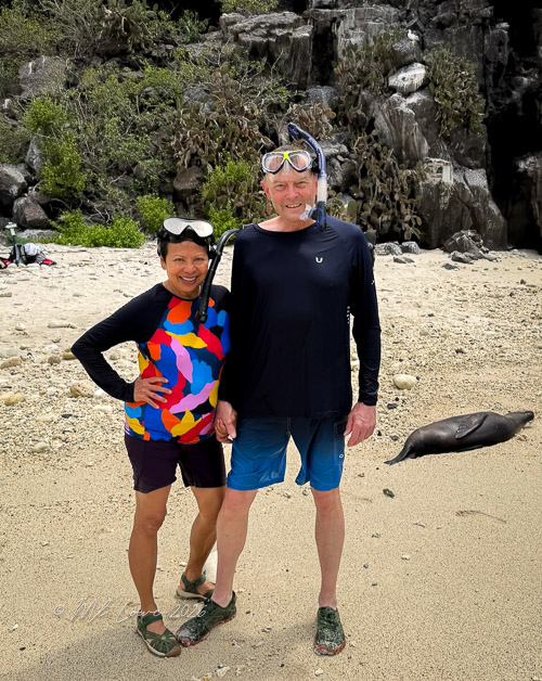 Darwin Bay