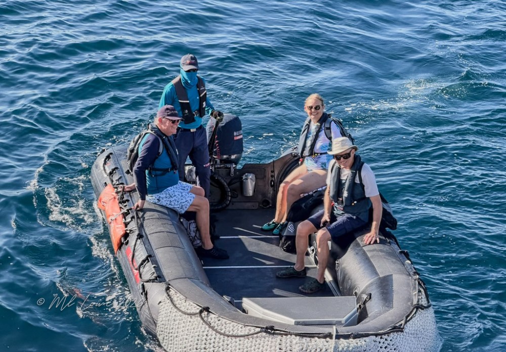 Four people in a small boat on the ocean, wearing life jackets and enjoying a sunny day.