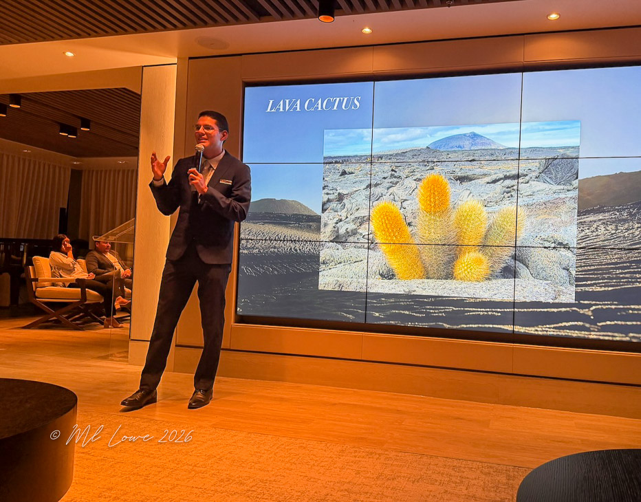 A presenter in a suit gesturing while discussing 'Lava Cactus' in front of a large screen displaying an image of the cactus in a volcanic landscape.