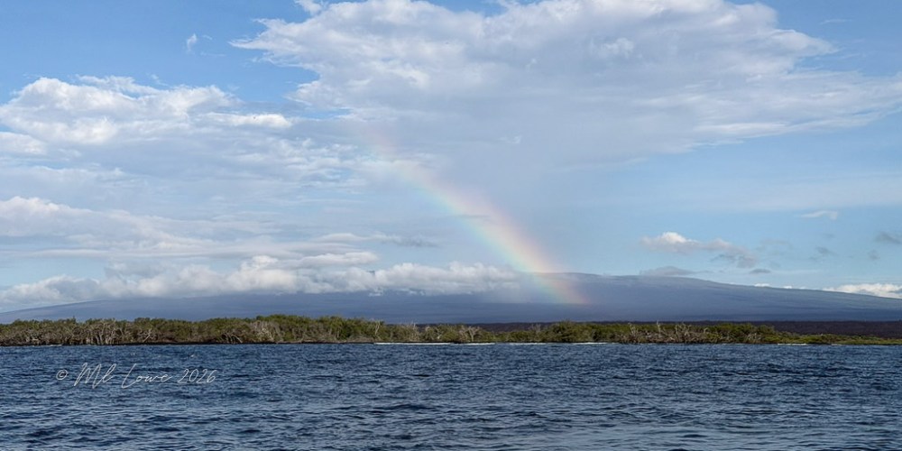 Isabela Island