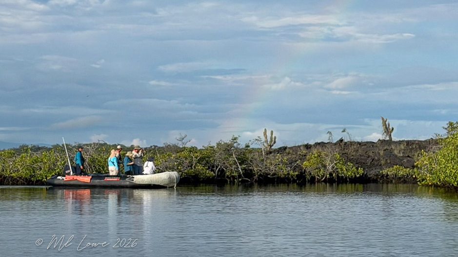 Punta Moreno, Isabela Island