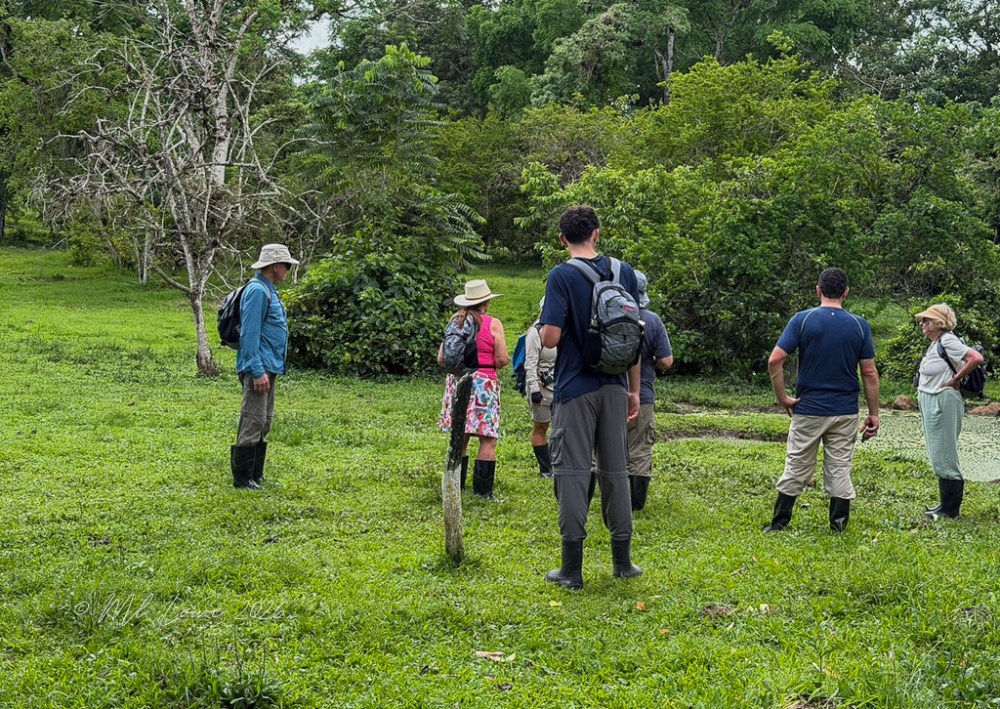 Group of seven people in rubber boots standing on green grass in a lush area, surrounded by trees and plants, appearing to engage in discussion or observation.