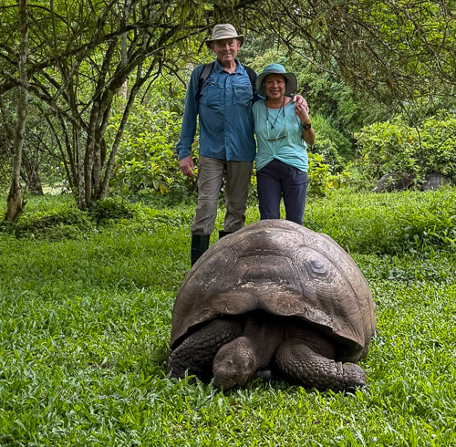 A man and a woman stand next to a large tortoise in a grassy area surrounded by greenery.