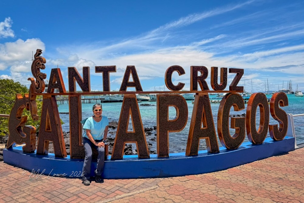 A person sitting on a ledge next to a large sign that reads 'Santa Cruz Galapagos,' with boats and a blue sky in the background.