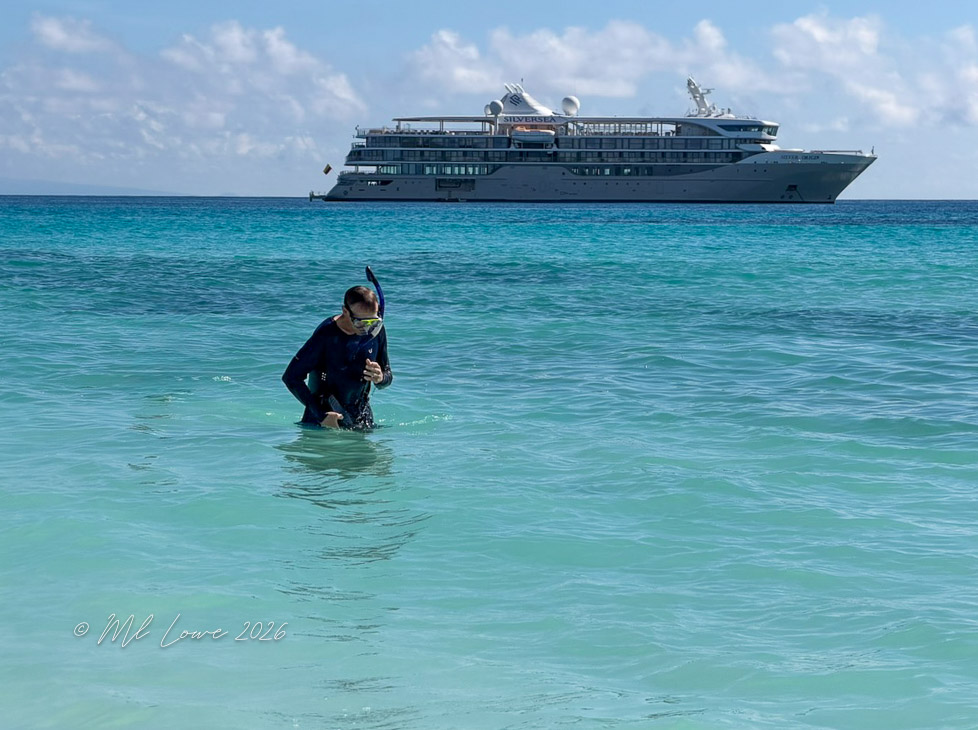 A person snorkeling in shallow turquoise waters with a cruise ship in the background.