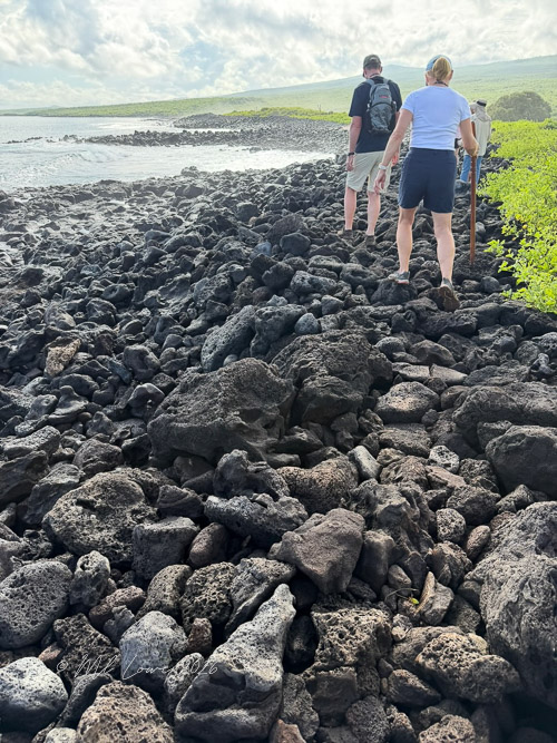 Two people walking along a rocky shoreline made of volcanic rocks, with green vegetation in the background and the ocean visible in the distance.
