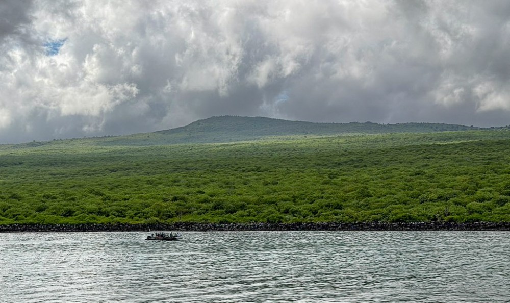 A serene water landscape featuring a lush green hillside under a cloudy sky, with a small boat visible on the water.